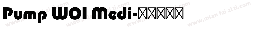 Pump W01 Medi字体转换